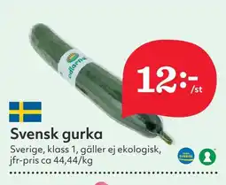 Östenssons Svensk gurka erbjuda