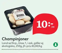Östenssons Champinjoner erbjuda