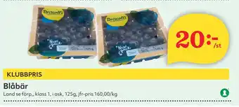Östenssons Blåbär erbjuda