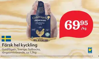 Östenssons Färsk hel kyckling erbjuda