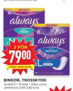 Willys BINDOR, TROSSKYDD erbjuda