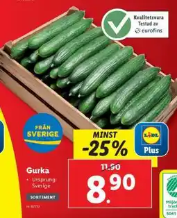 Lidl Gurka erbjuda