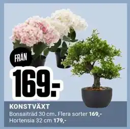 ÖoB KONSTVÄXT erbjuda