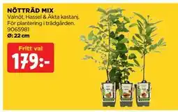 Jem&Fix NÖTTRÄD MIX erbjuda