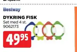 Jem&Fix DYKRING FISK erbjuda