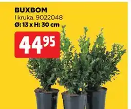 Jem&Fix BUXBOM erbjuda