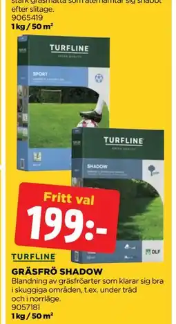Jem&Fix GRÄSFRÖ SHADOW erbjuda