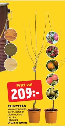 Jem&Fix FRUKTTRÄD erbjuda