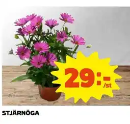 Coop Stjärnöga erbjuda