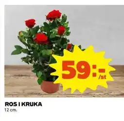 Coop Rosi kruka erbjuda