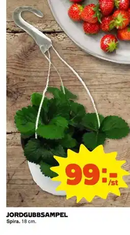 Coop Jordgubbsampel erbjuda