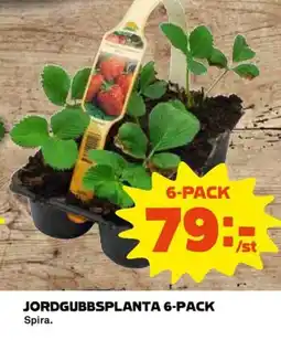Coop Jordgubbsplanta 6-pack erbjuda