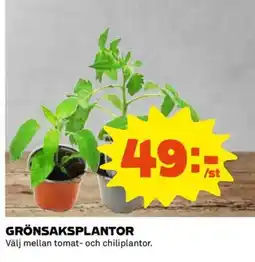 Coop Grönsaksplantor erbjuda