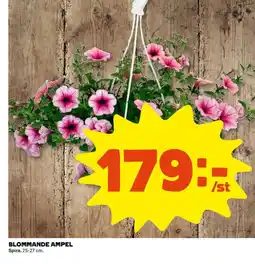 Coop Blommande ampel erbjuda