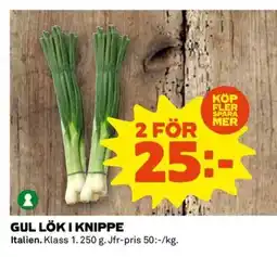 Coop Gul lök i knippe erbjuda