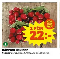 Coop Rädisor i knippe erbjuda