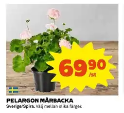 Coop Pelargon mårbacka erbjuda