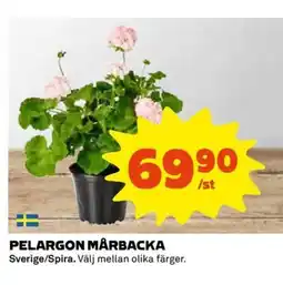 Coop Pelargon mårbacka erbjuda