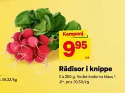 City Gross Rädisor i knippe erbjuda
