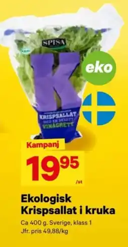 City Gross Ekologisk krispsallat i kruka erbjuda