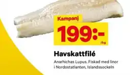 City Gross Havskattfilé erbjuda