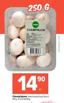 Coop Extra Champinjoner erbjuda