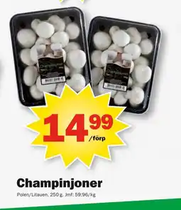 Pekås Champinjoner erbjuda