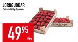 Matdax CALINDA Jordgubbar erbjuda