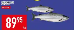 Matdax Färsk hel lax erbjuda