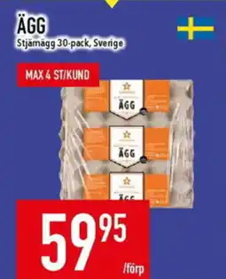Matdax STJÄRNÄGG Ägg erbjuda
