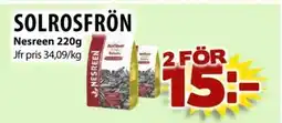 Matvärlden Tensta NESREEN Solrosfrön erbjuda