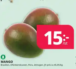 Tempo Mango erbjuda