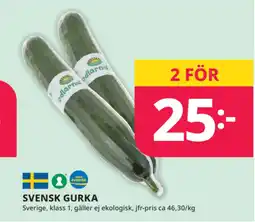 Tempo Svensk gurka erbjuda