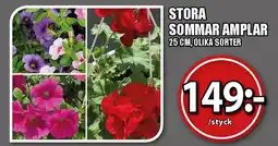 Extra Mjällby Stormarknad Stora sommar amplar erbjuda