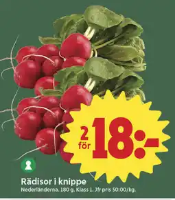 ICA Nära Rädisor i knippe erbjuda