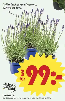 ICA Nära Lavendel erbjuda