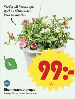 ICA Nära Blommande ampel erbjuda