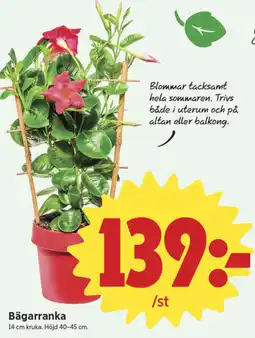 ICA Nära Bägarranka erbjuda
