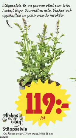 ICA Nära Stäppsalvia erbjuda