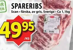 Matvärlden Tensta SCAN Spareribs erbjuda