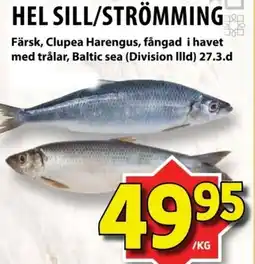 Matvärlden Tensta Hel sill/strömming erbjuda