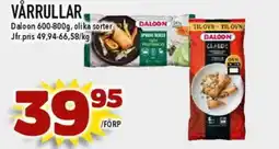 DALOON Vårrullar