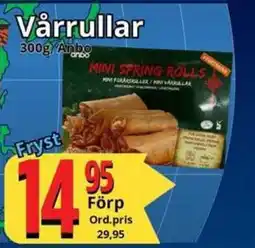 ANBO Vårrullar