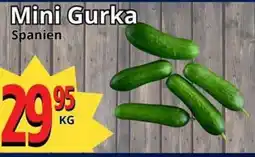 Supergrossen Mini gurka erbjuda