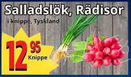 Supergrossen Salladslök, rädisor erbjuda