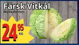Supergrossen Färsk vitkål erbjuda