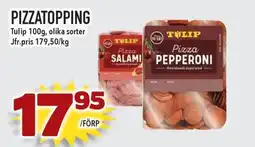 TULIP Pizzatopping
