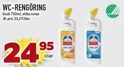 DUCK Wc-rengöring