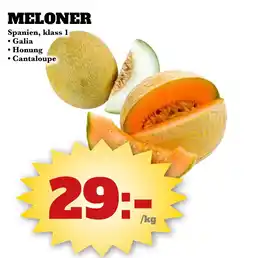Bonum Matmarknad Meloner erbjuda