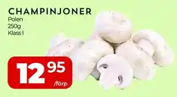 Matrix Butikerna Champinjoner erbjuda